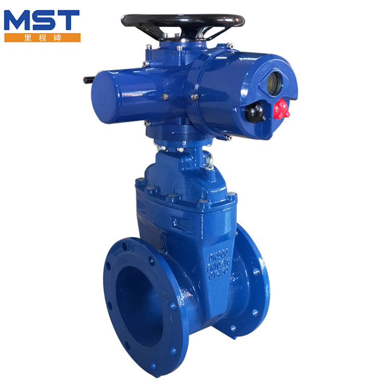Unveiling the Strength of Flanged Ductile Iron Cast Iron Gate Valves
