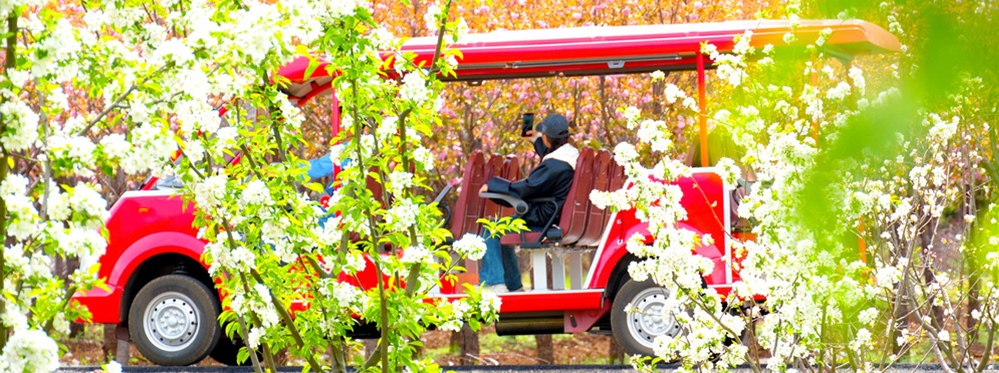 Yunnan Yushui Village Visit: Unveil the Serene Beauty of This Ancient Mountain Hamlet